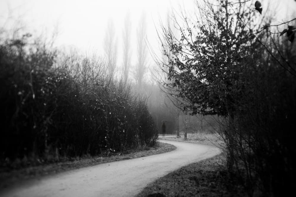Mysterious Winding Path by Adam Dauria ☂ — canvas wall art