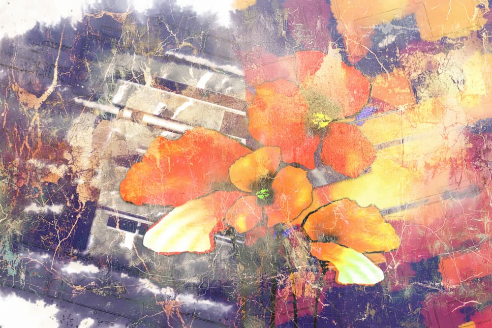 Urban Floral Abstract by Rafal Kulik — canvas wall art