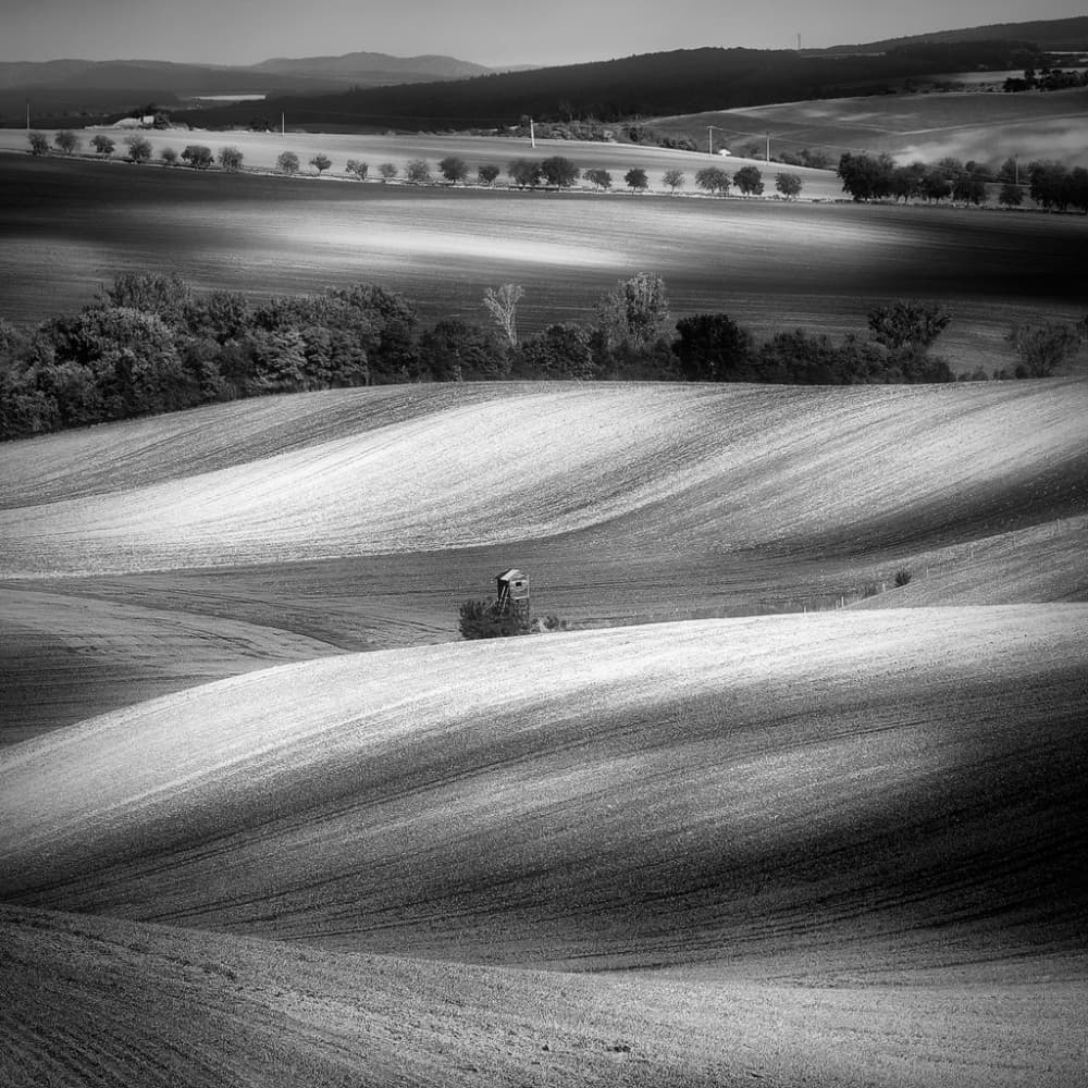 Light on Rolling Fields by Piotr Krol (Bax) — canvas wall art