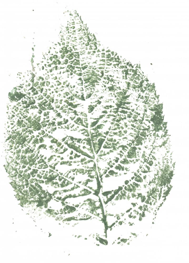 Botanical Leaf Print by Maira Ribena — canvas wall art