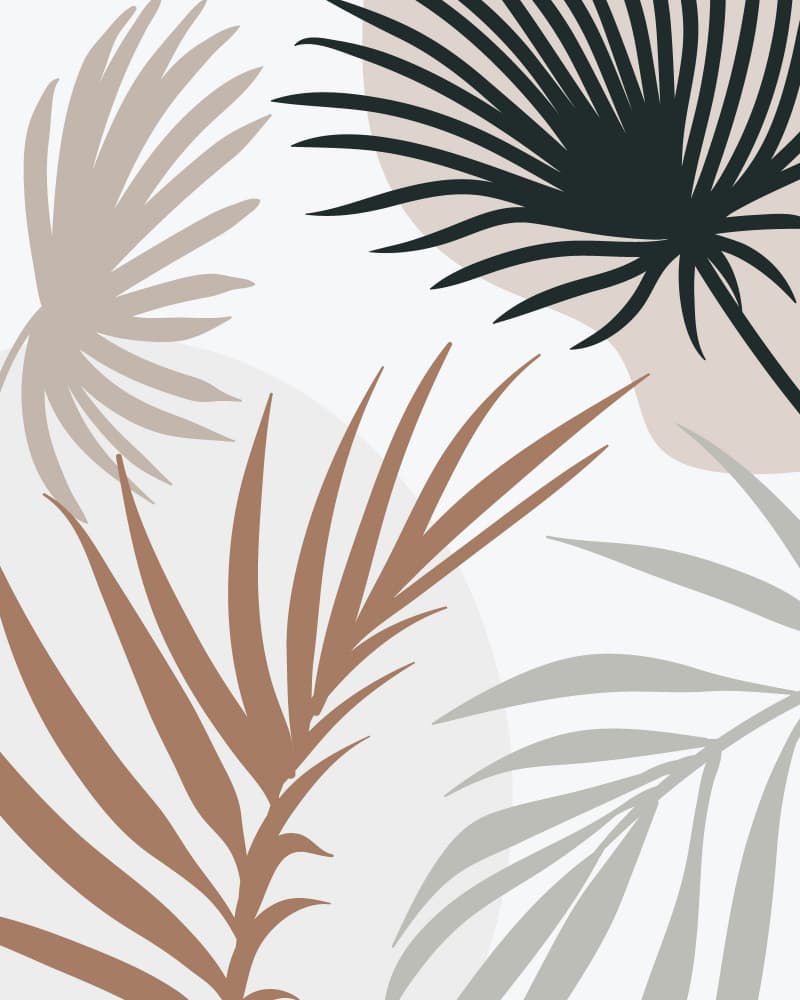 Abstract Palm Foliage by KsanaKalpa — canvas wall art