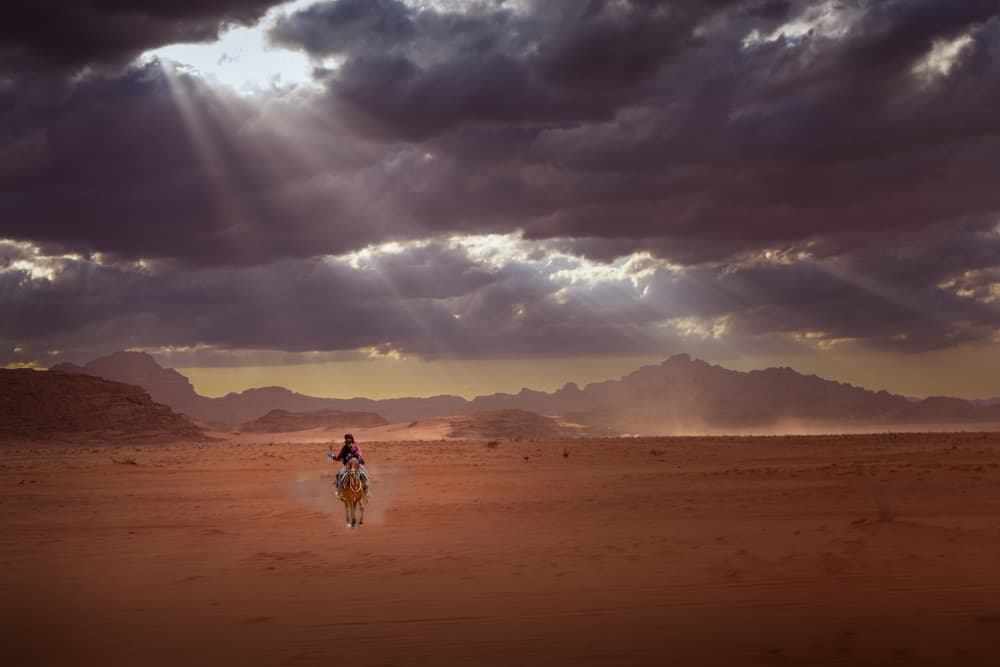 Camel Rider Desert Journey by Dennis Zhang — canvas wall art