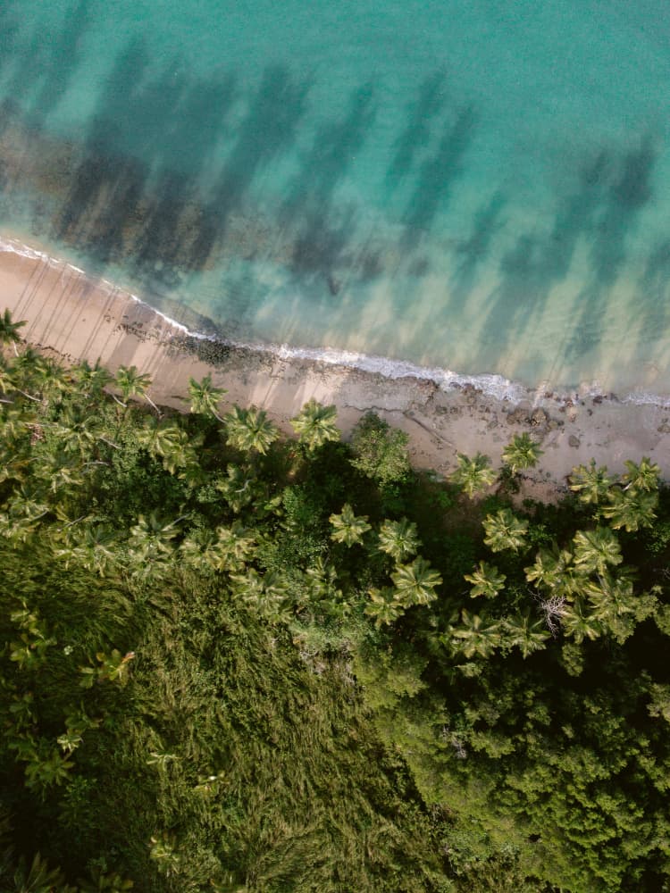 Palm Beach from Above by Raisa Zwart — canvas wall art
