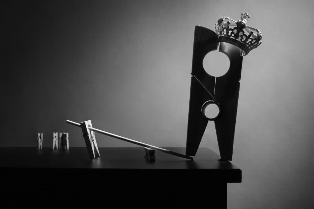 Crowned Clothespeg Stand-off by Victoria Glinka — canvas wall art