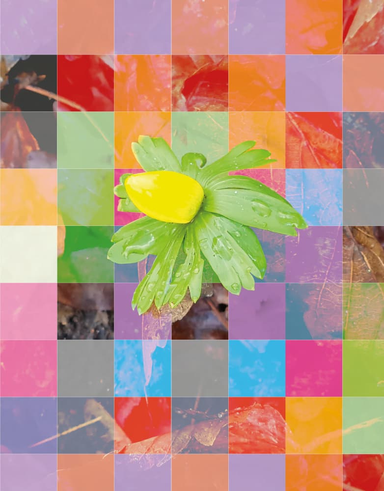 Vibrant Floral Mosaic by Hanne Spangsberg — canvas wall art