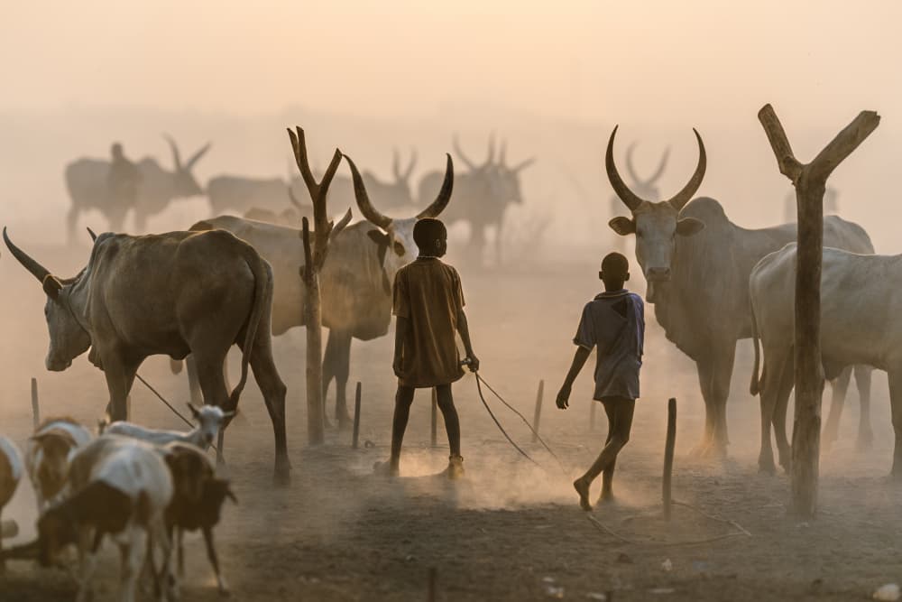 African Boys Golden Dust by Trevor Cole — canvas wall art
