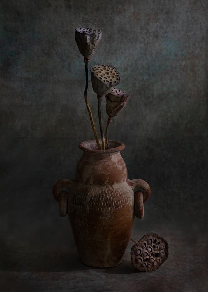 Rustic Lotus Still Life by Wendy Xu — canvas wall art