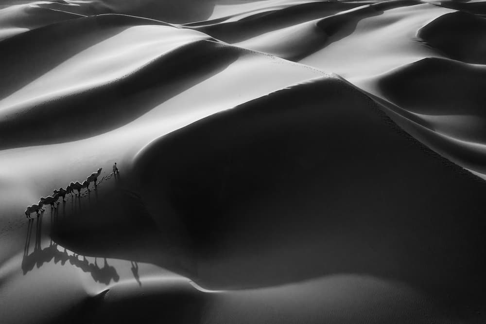 Desert Dune Caravan by Bingo Z — canvas wall art