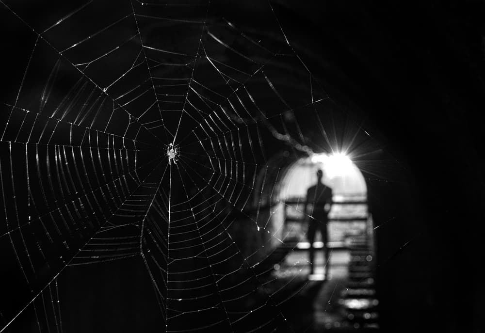 Spider Web Tunnel Silhouette by Giorgio Toniolo — canvas wall art