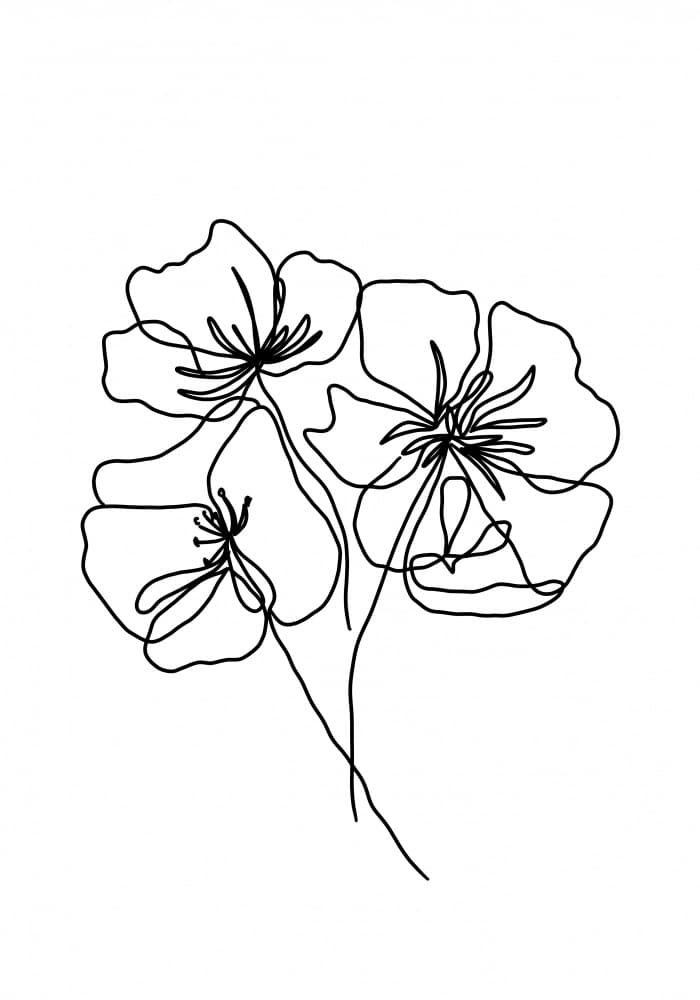 Minimalist Black Line Flowers by Veronika Boulová — canvas wall art