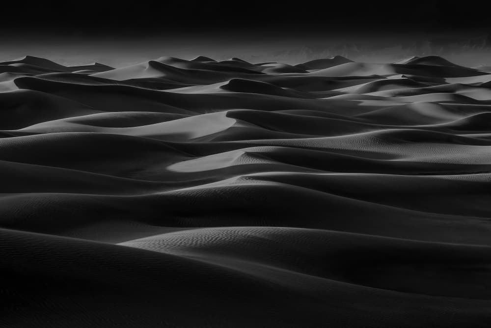 Desert Dune Waves by Catherine Lu — canvas wall art