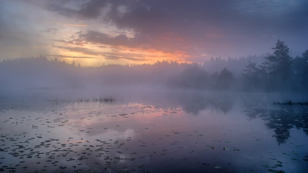 Misty Lake Sunrise by Benny Pettersson — canvas wall art