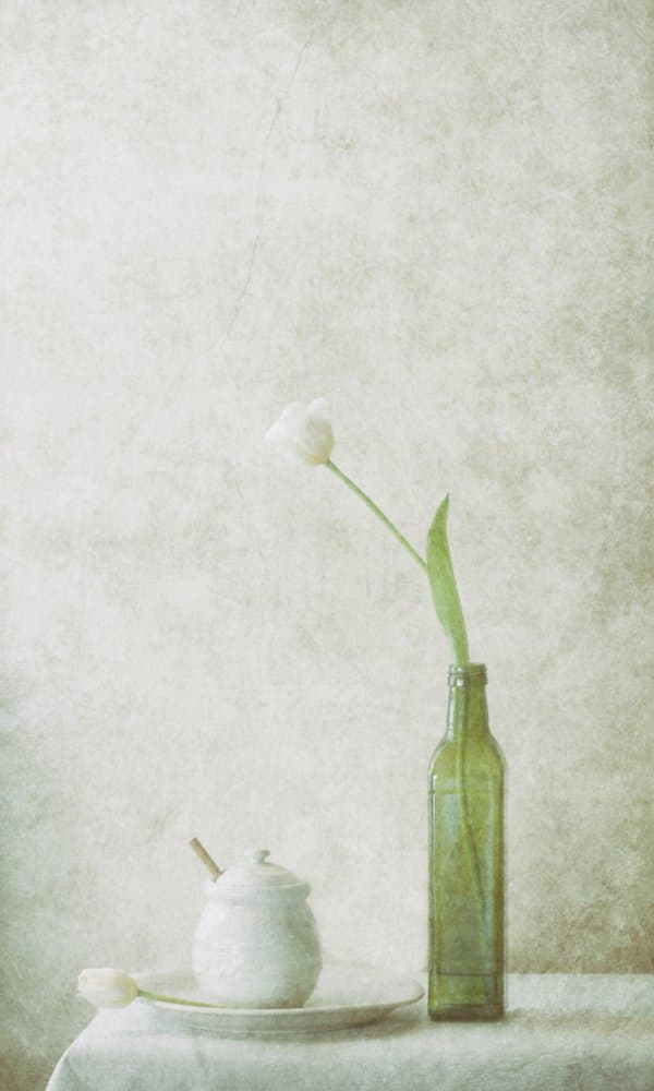White Tulip Still Life by Delphine Devos — canvas wall art