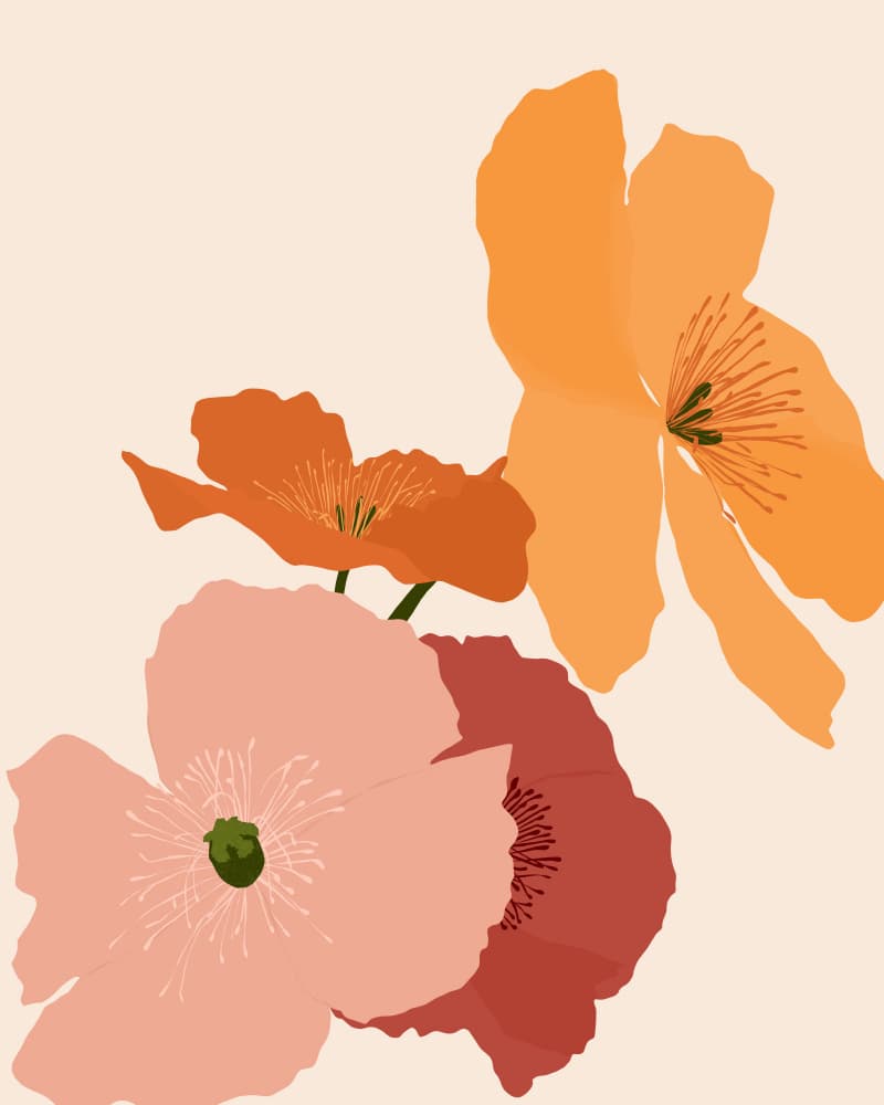 Warm Poppies Blooms by Uma Gokhale — canvas wall art