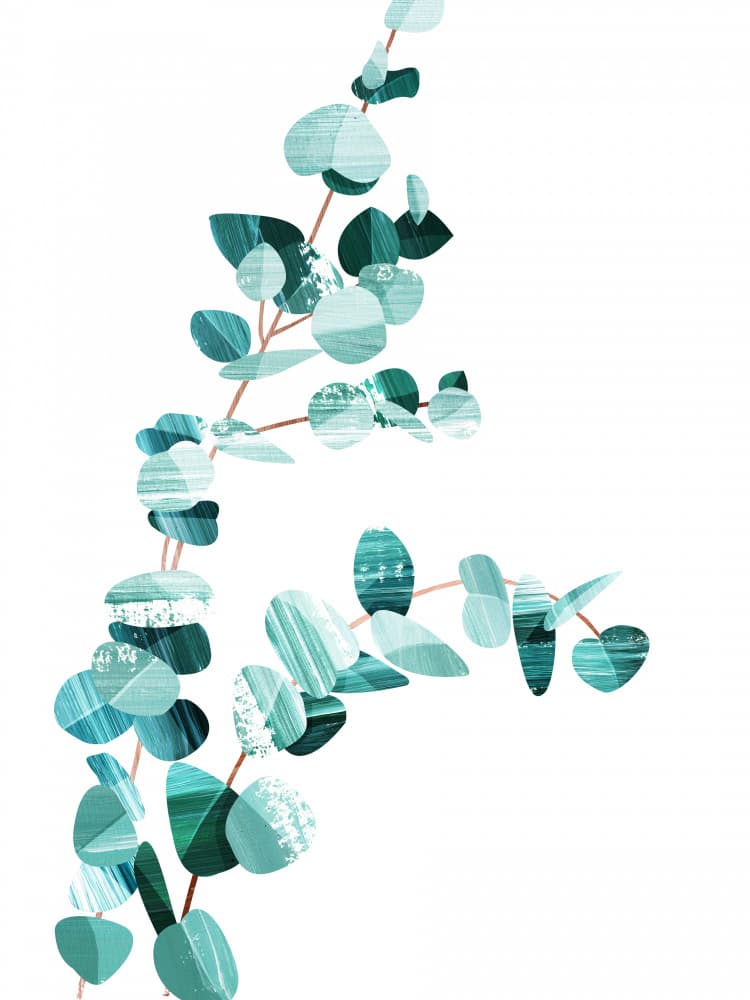 Eucalyptus II by Goed Blauw — canvas wall art