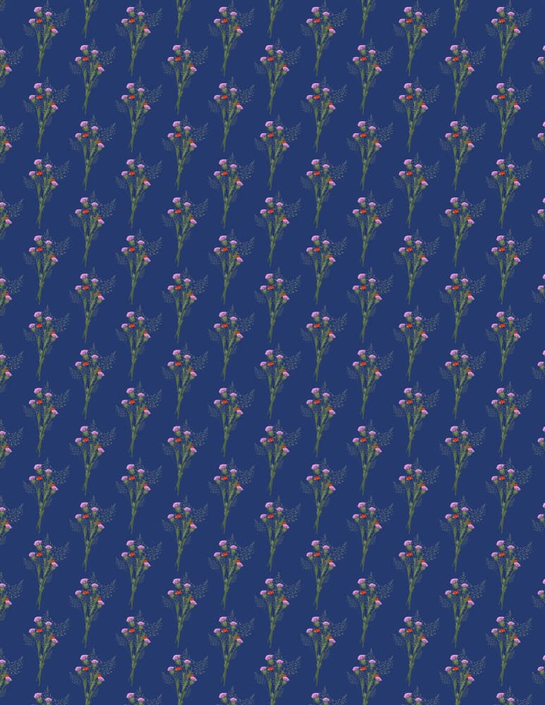 Pink Thistle Pattern by Nicholas — canvas wall art