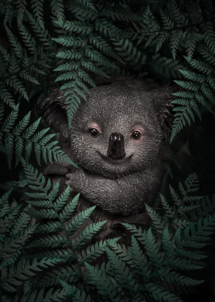 Smiling Koala in Ferns by Ariz Rab — canvas wall art