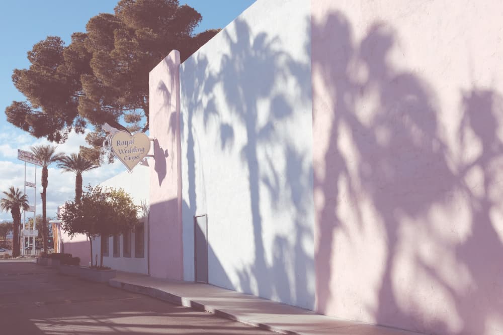 Pink Wall Palm Shadows by Pictufy Studio III — canvas wall art