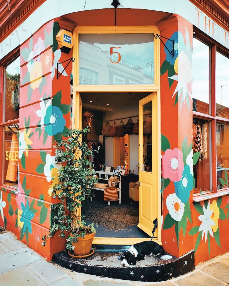 Floral Storefront Dog by Gabor Estefan — canvas wall art