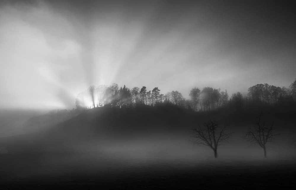 Ethereal Foggy Woods by Nic Keller — canvas wall art