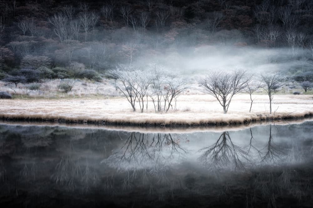 Frosted Winter Reflections by Daiki Suzuki — canvas wall art