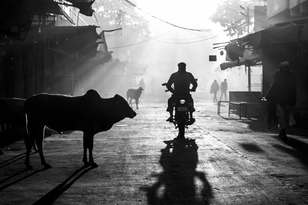 Misty Morning Urban Scene by Rajarshi Bhattacharjee — canvas wall art