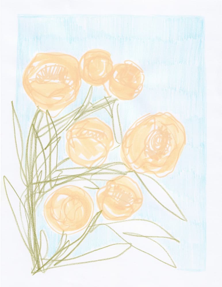 Gentle Orange Blooms