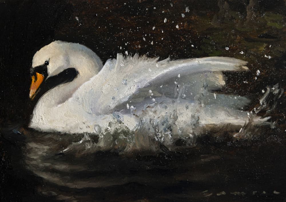 Dancing Swan by James Zamora — canvas wall art