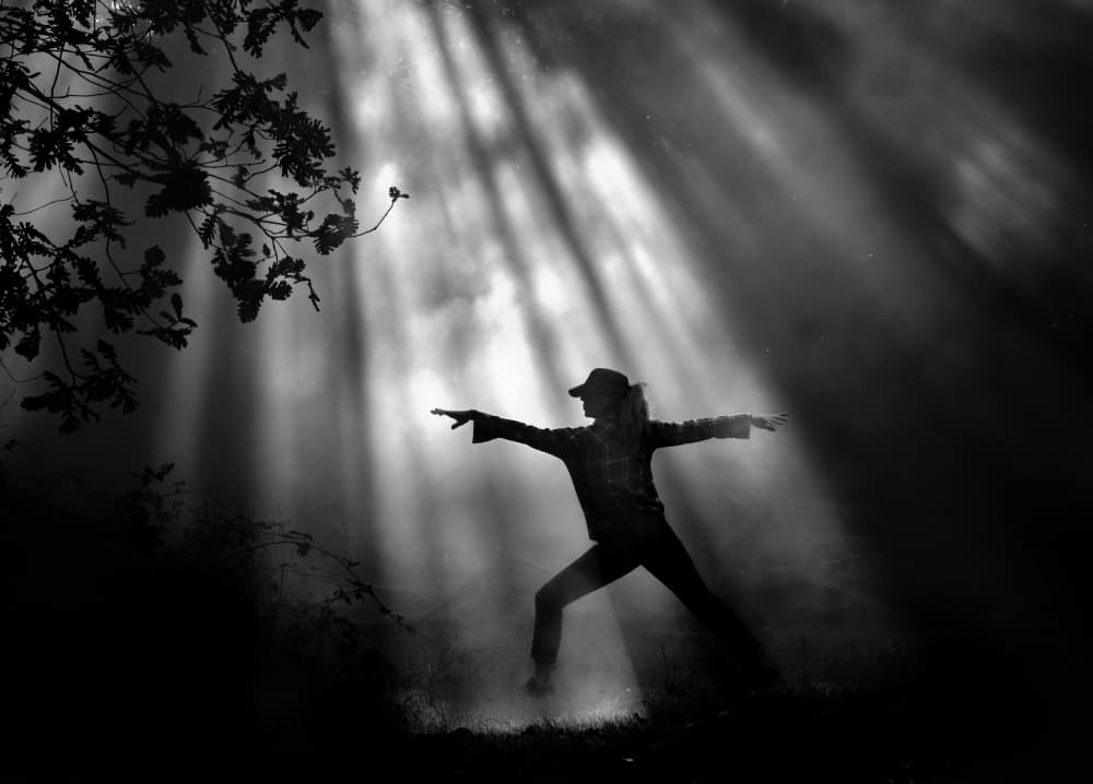 Forest Silhouette Sunbeams by Gilcan Mete — canvas wall art