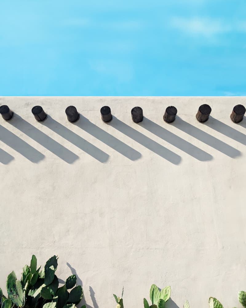 Long Shadows by Tom Windeknecht — canvas wall art
