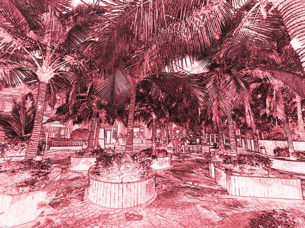 Tropical Palm Garden Sketch by Santhosh ch — canvas wall art