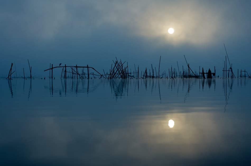 Misty Morning Lake Reflection by Kouji Tomihisa — canvas wall art