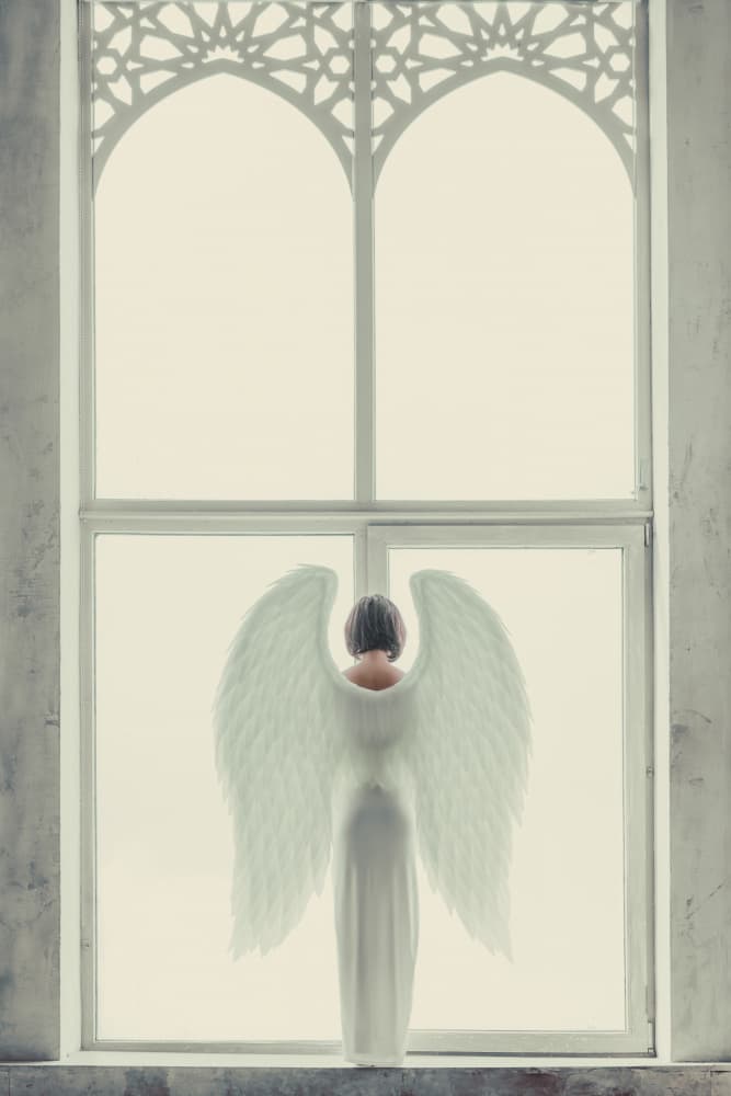 Angel At The Window by InTheMoment — canvas wall art