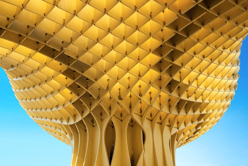 Golden Wood Canopy by Linda Wride — canvas wall art