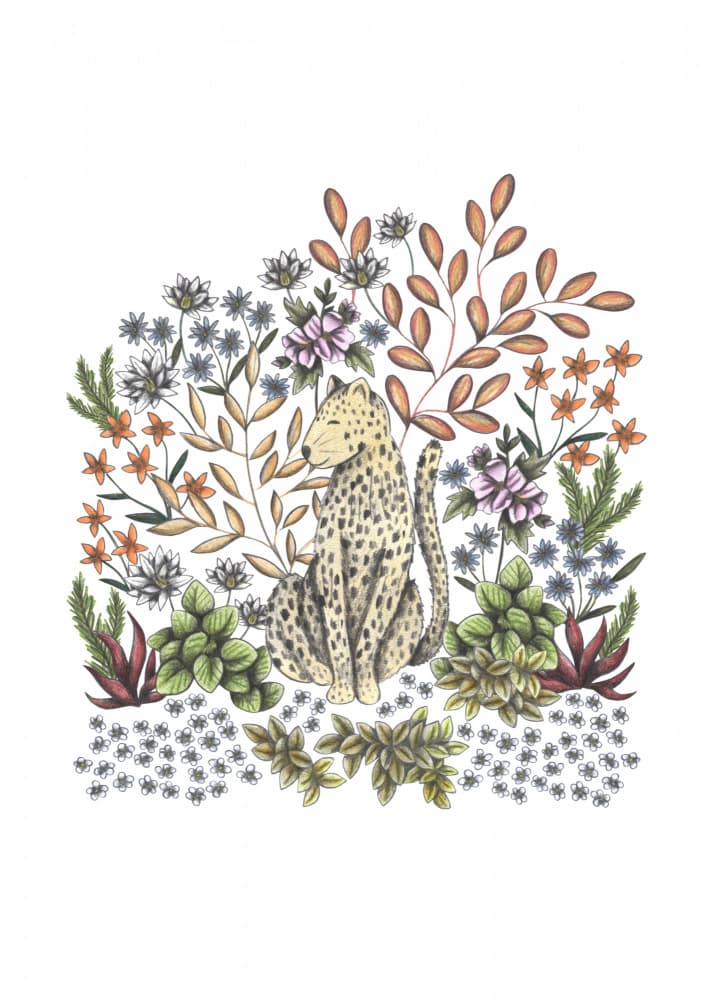 Cheetah In Bloom by Cecilia Battaini — canvas wall art