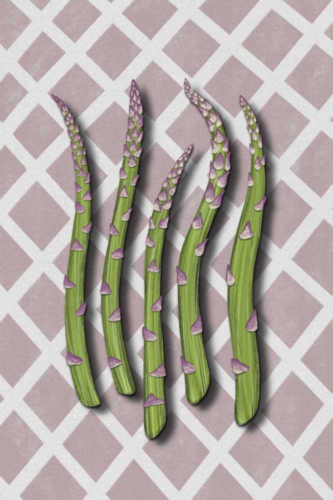 Fresh Asparagus Spears by EMELIEmaria — canvas wall art
