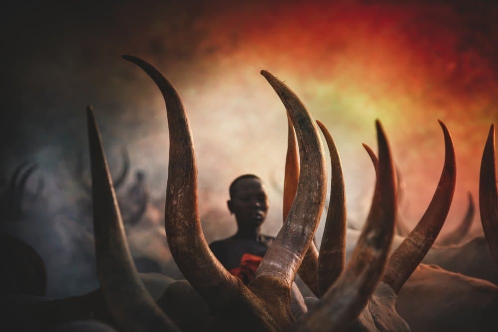 Dramatic African Horns by Svetlin Yosifov — canvas wall art