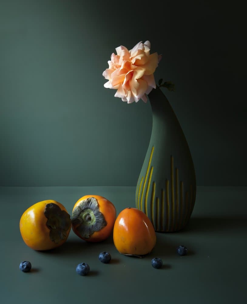 Moody Persimmons and Rose by Judy Tseng — canvas wall art