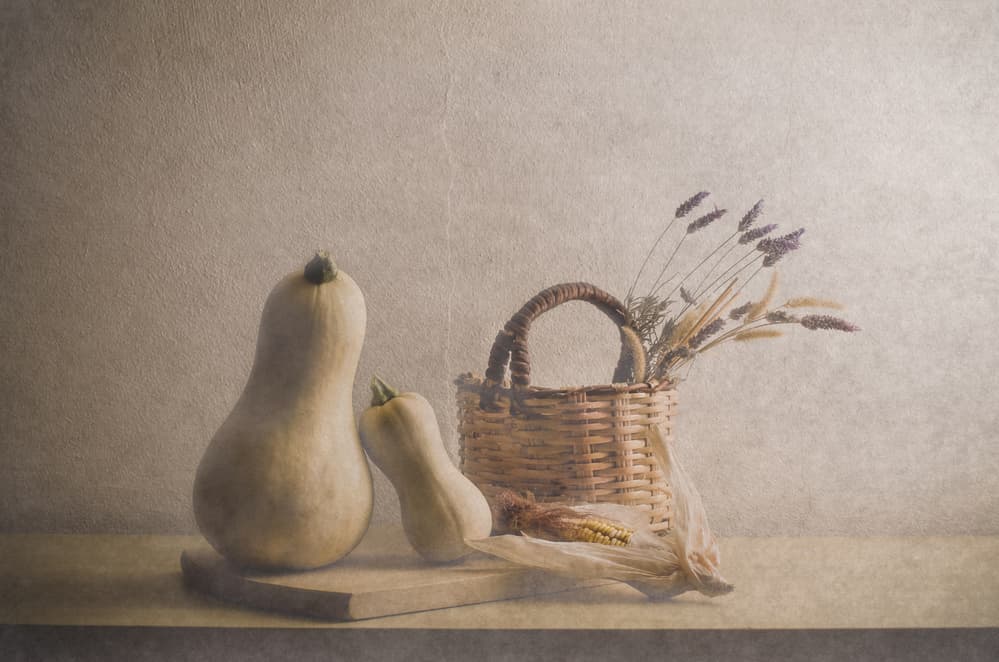 Rustic Butternut Harvest by Piera Polo — canvas wall art