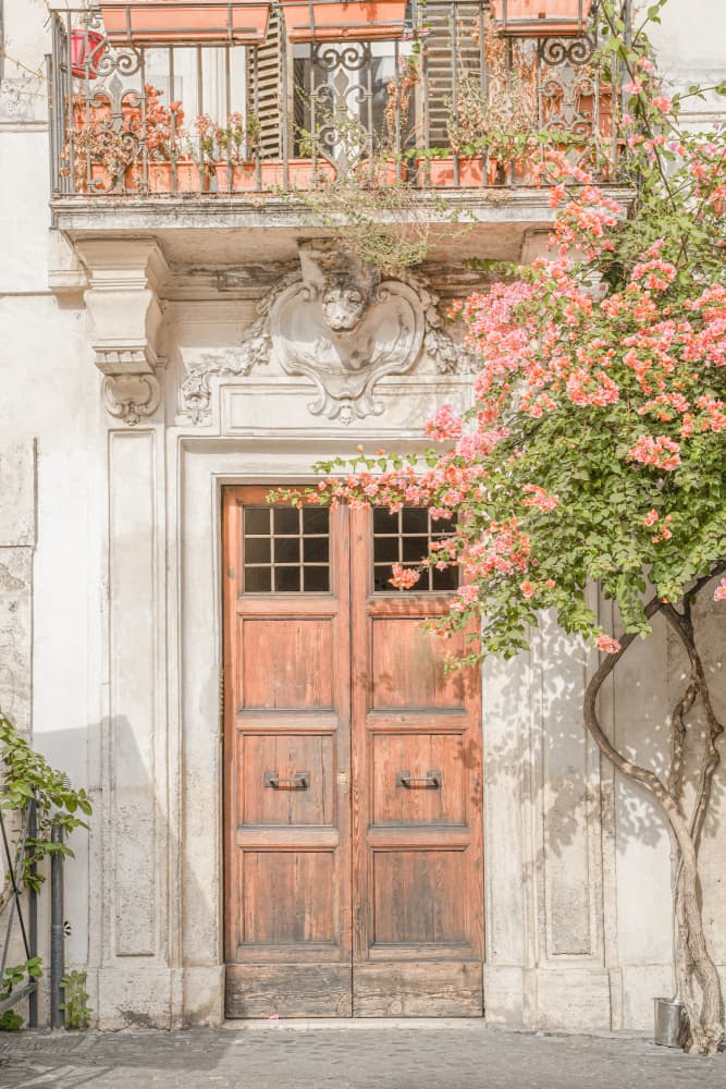 Floral Entry by Henrike Schenk — canvas wall art