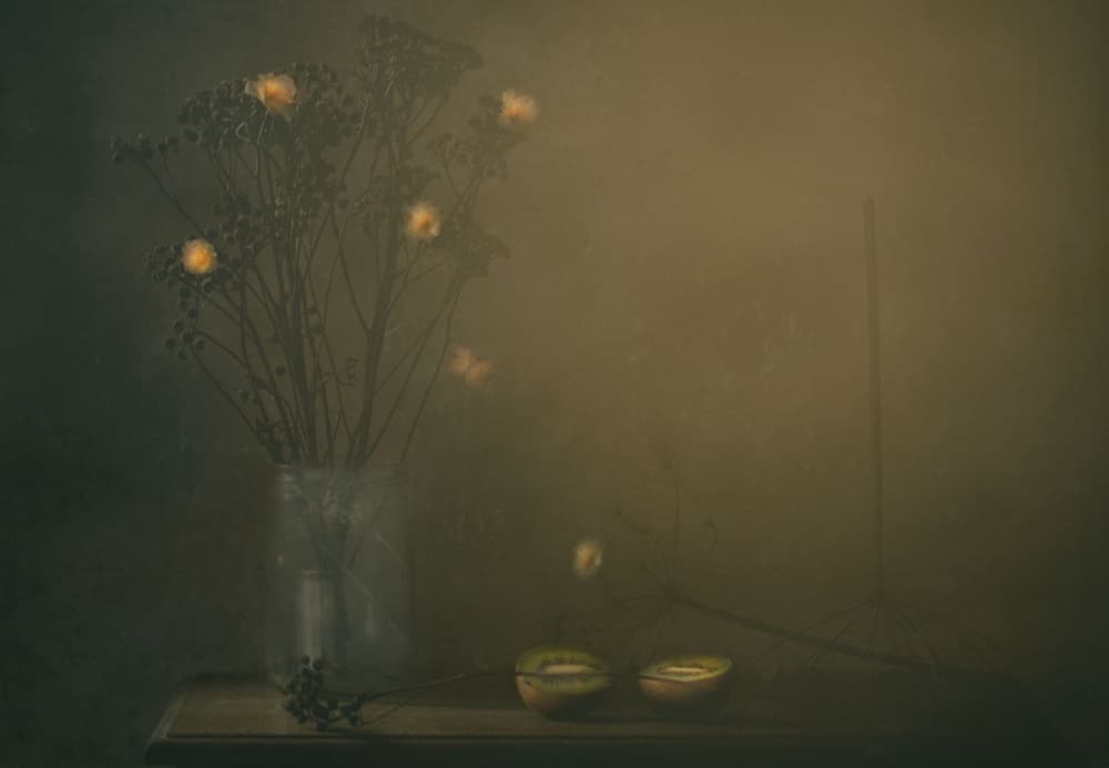 Ethereal Botanical Still Life by Delphine Devos — canvas wall art