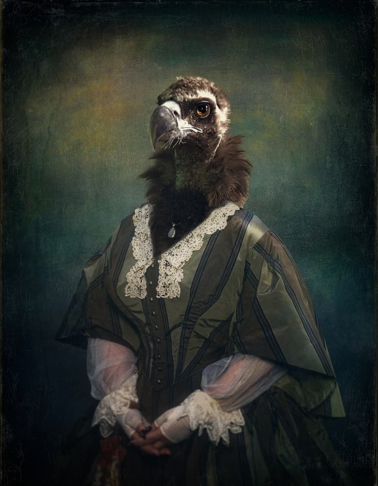 Vulture Lady Portrait by Svetlana Melik-Nubarova — canvas wall art