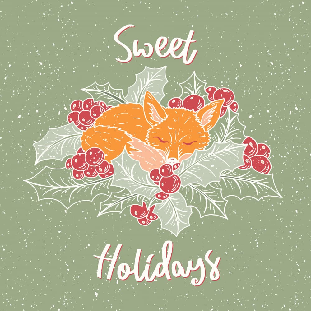 Sweet Sleeping Fox by Olena Kovalova — canvas wall art