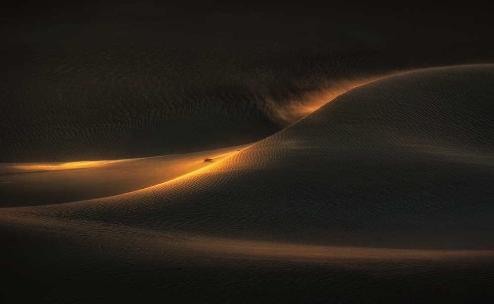Golden Desert Dunes by Babak Mehrafshar — canvas wall art