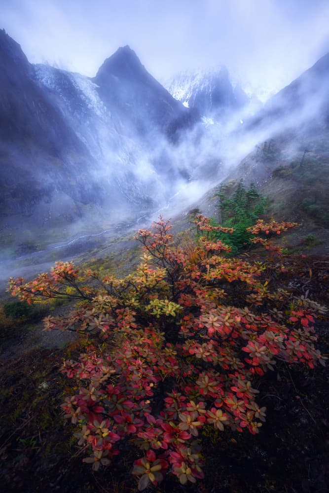Misty Autumn Peaks by Damon Hao — canvas wall art
