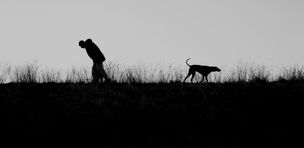 Silhouetted Man and Dog by Jian Wang — canvas wall art