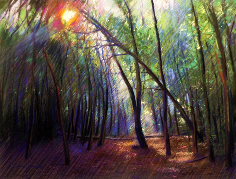 Sunlight Through Trees by Corné Akkers — canvas wall art