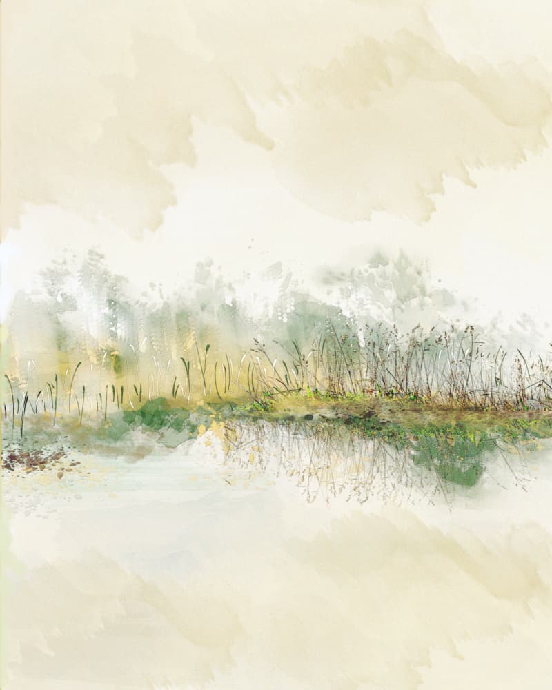 Misty Reeds Reflection by Sannel Larson — canvas wall art