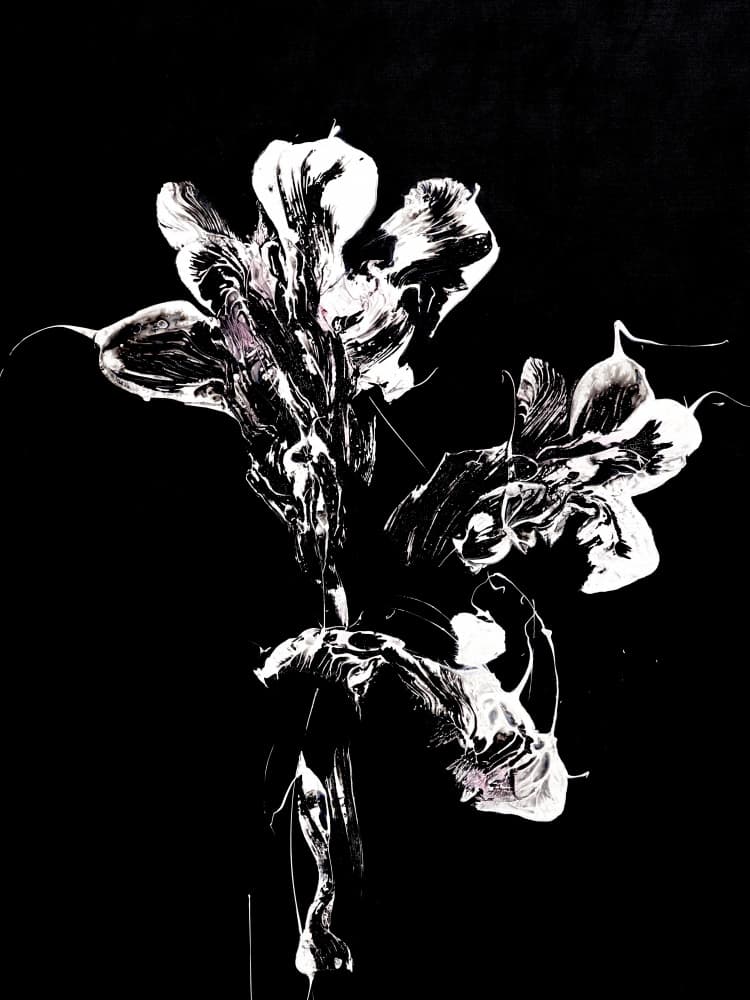 Fluid Dark Blooms by Françoise Wattré — canvas wall art