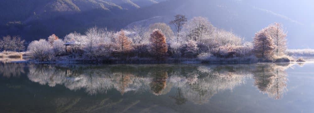 Frosted Winter Landscape Reflection by Tiger Seo — canvas wall art